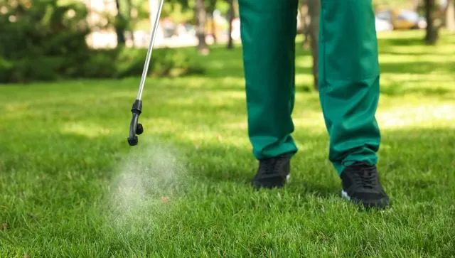 Lawn Fertilization