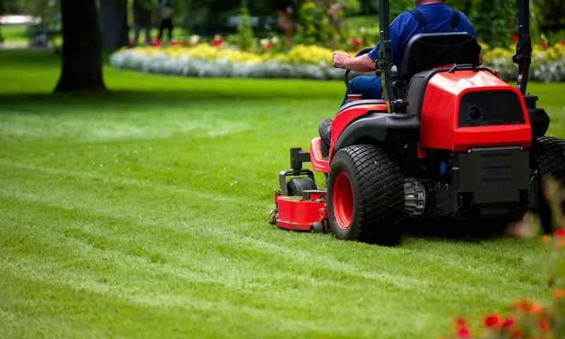 Lawn Mowing